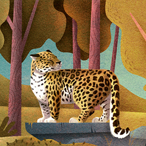 Обитатели России