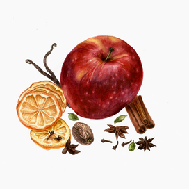 Набор для глинтвейна