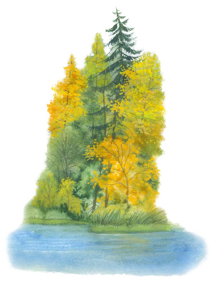 Оборочная иллюстрация для книги "Гомельская земля"