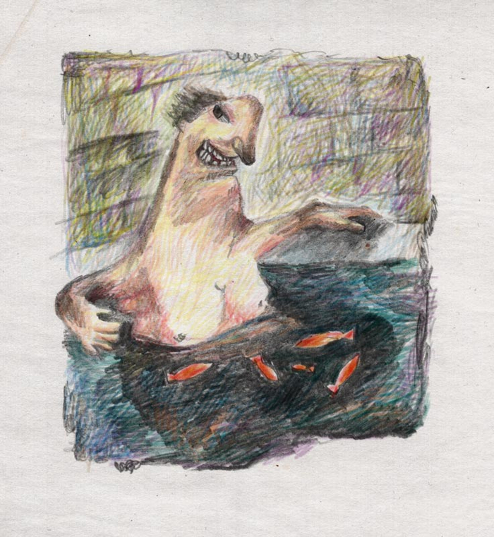 золотые рыбки