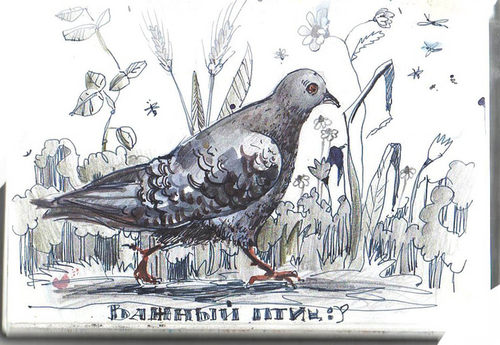 Важный птиц :)