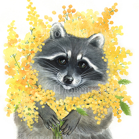 Енот - весеннее солнышко из мимозы