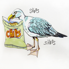 Чайка с чипсами