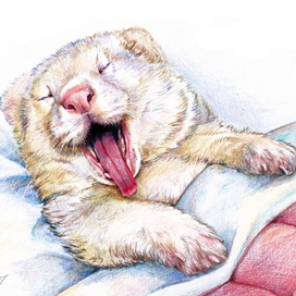 с добрым утром!