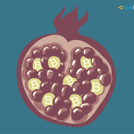 Pomegranate flat design