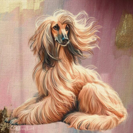 Afghan hound 