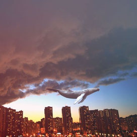 небо во сне