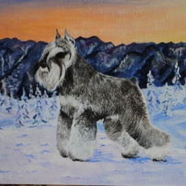 Где то в канадских горах