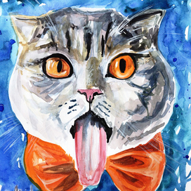 серый кот с бантом