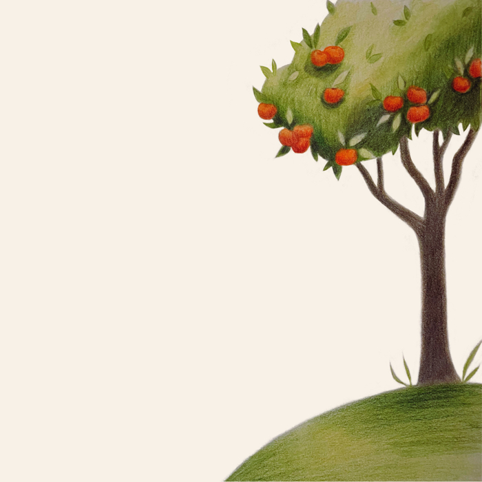 Иллюстрация для книги «Самоучитель юного садовода»