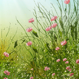 Летний луг...