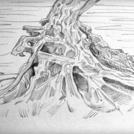 "Волжские корни".