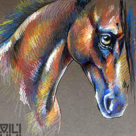 Кони календарь 2014