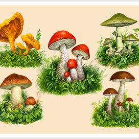 Для издательства "Детство ПРЕСС"