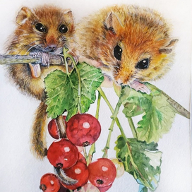 Мамино счастье.