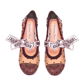 Dior shoes 