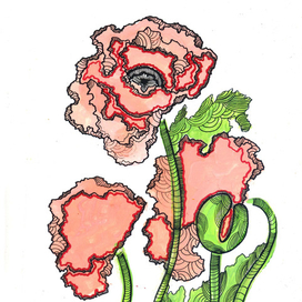 Серия "Papaver"