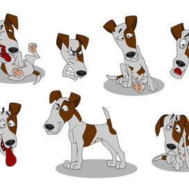 фокстерьер (гладкошерстный)