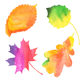 осенние листья