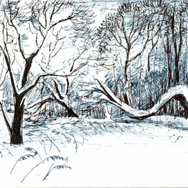 Зимняя опушка