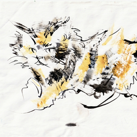 Самый любимый котенок