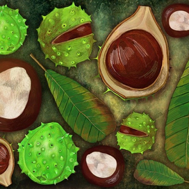 Каштаны. Осень.