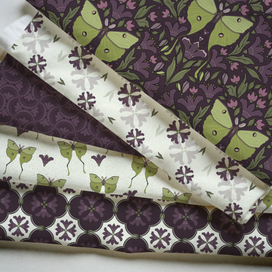 Набор бесшовных иллюстраций из коллекции "Мадагаскарская комета"