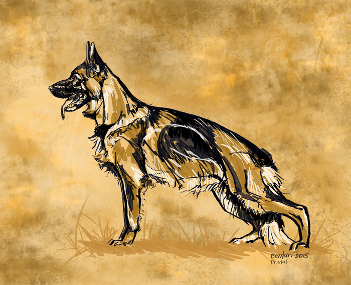  Cristal di Casa Massarelli