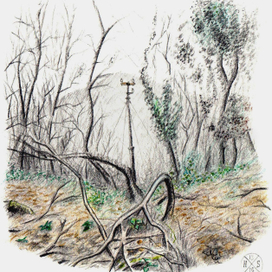 Столб Индо-Европейской линии