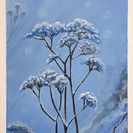 Зимние цветы