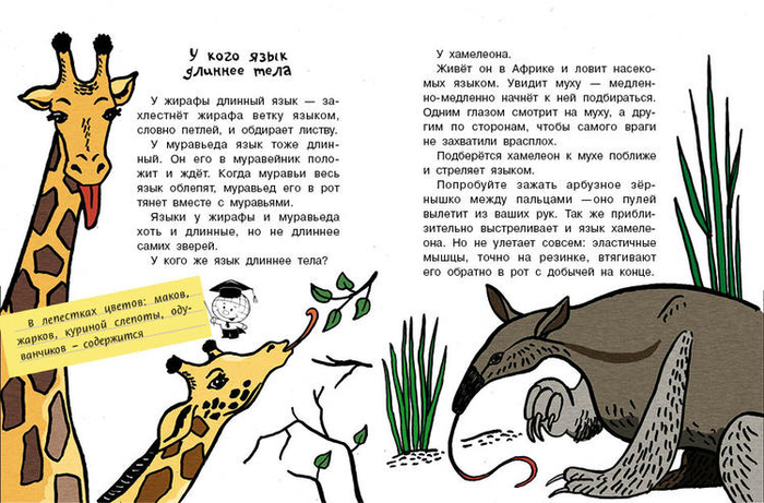 Кто без крыльев живет_07