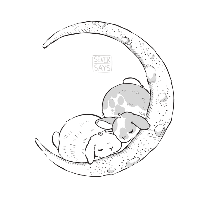 Moon buns