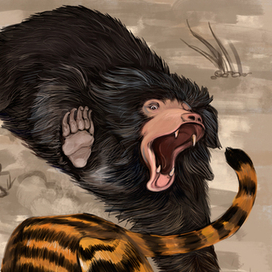 Атата или не злите медведя-губача