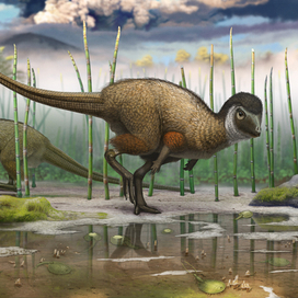 Kulindadromeus