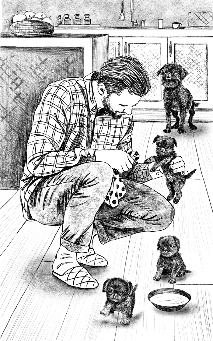 Иллюстрация к книге "Истории со счастливым хвостом"