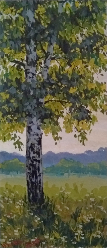 Береза белая