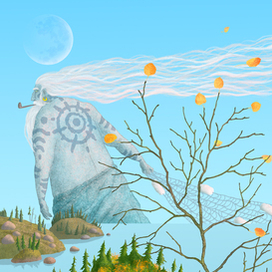 Бес отражения )