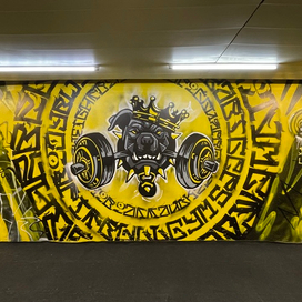 PIT BULL GYM - 3 | FREAKTOR X WIDO(AKV)