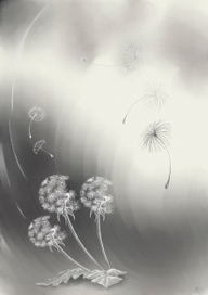 "Ловец ветра" сборник стихов