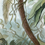 Палеоландшафт 