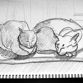 Одним прекрасным днём