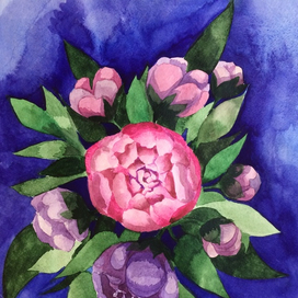 Пионы на синем фоне