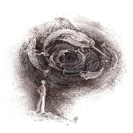 Нарвалокружение