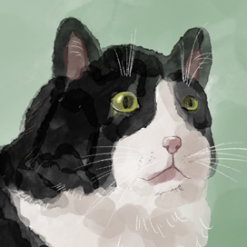 Скетчи по референсам в диджитал 