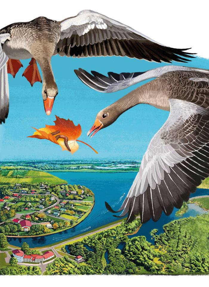 Иллюстрация к сказке Ирины Гуриной