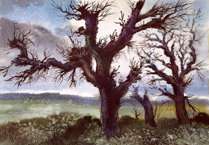 ,,ДикОвинные деревА,,