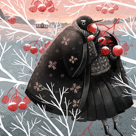 Зимний дрозд