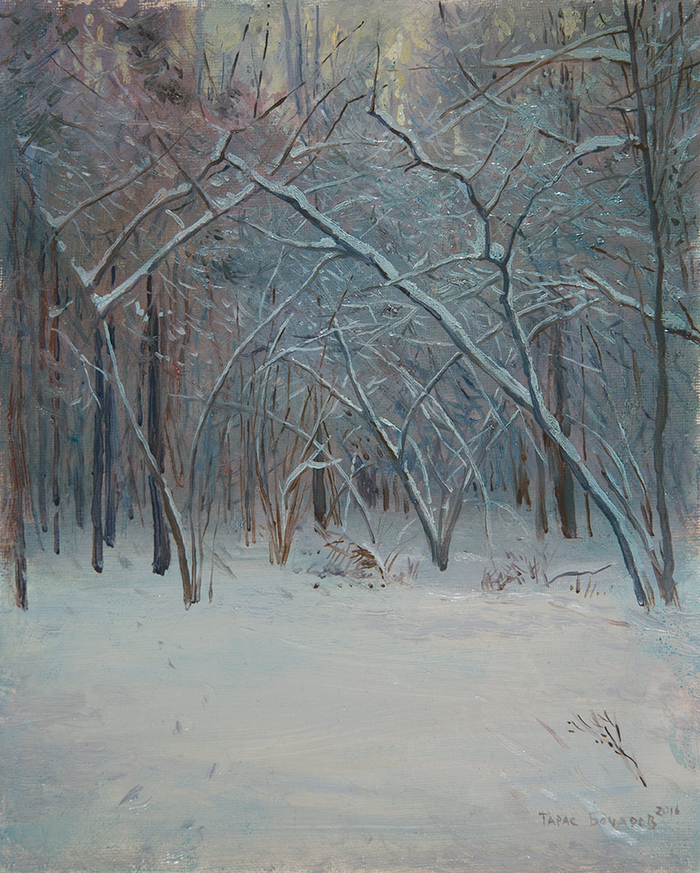 Зимний лес. Пасмурно