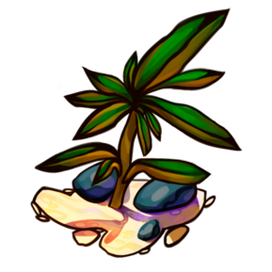 Суккуленты 