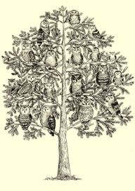 Без названия